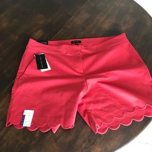 NWT red shorts size 14! Last price Drop!